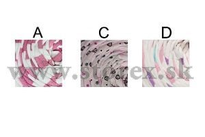 T-SHIRT YARN - pze